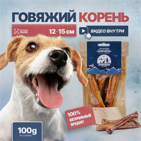Вред свиных субпродуктов для собаки