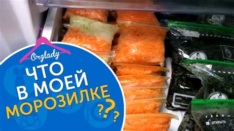Вред фреона из морозильной камеры для здоровья