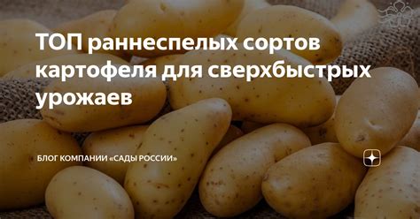 Время внесения для раннеспелых сортов
