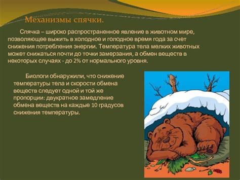 Время года и спячка