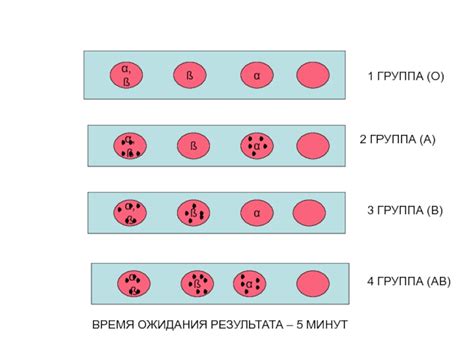Время ожидания видимого результата