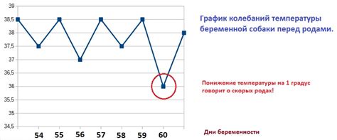 Время ожидания до начала течки после родов