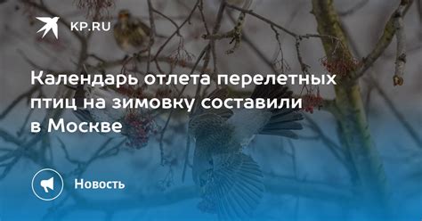 Время отлета из России