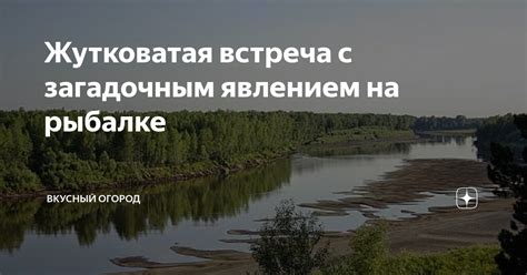 Встреча с загадочным новым другом