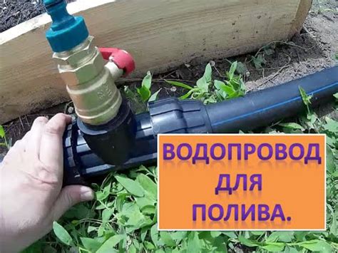 Выбор воды для полива