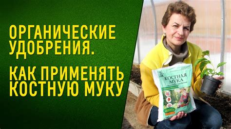 Выбор времени для внесения костной муки