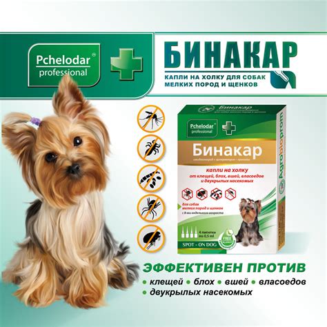 Выбор капель от блох для собак