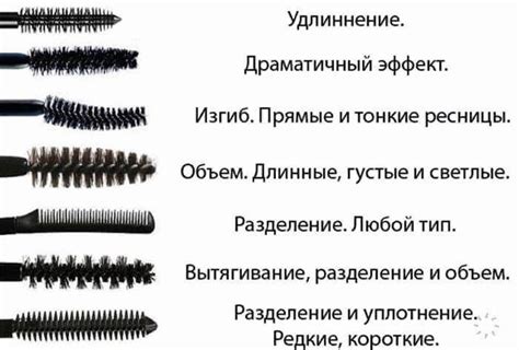 Выбор качественной туши