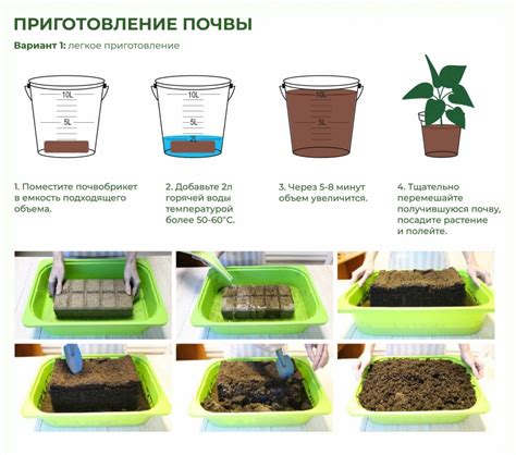 Выбор контейнера для выращивания моха