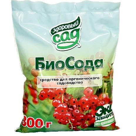 Выбор косточки и обработка перед посадкой