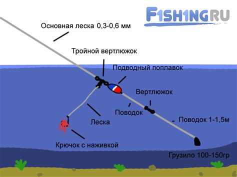 Выбор места для ловли сома