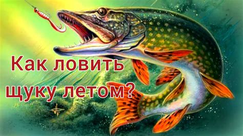 Выбор места для рыбалки на щуку