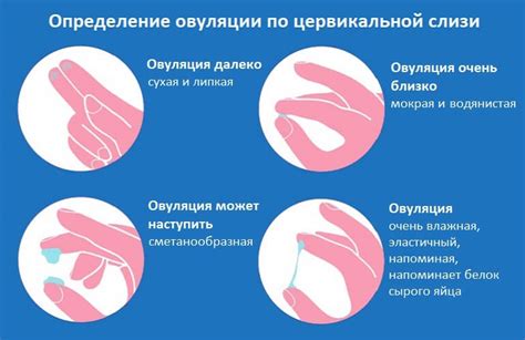 Выбор метода экстренной контрацепции при овуляции