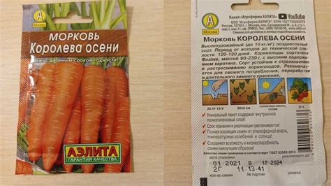 Выбор момента для посадки моркови нантской