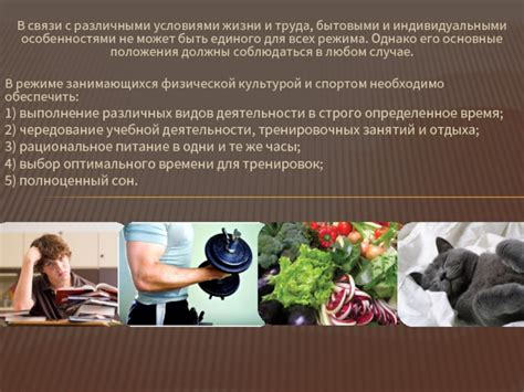 Выбор оптимального времени для отдыха
