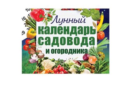 Выбор оптимального времени для посадки в Подмосковье: сезонные особенности