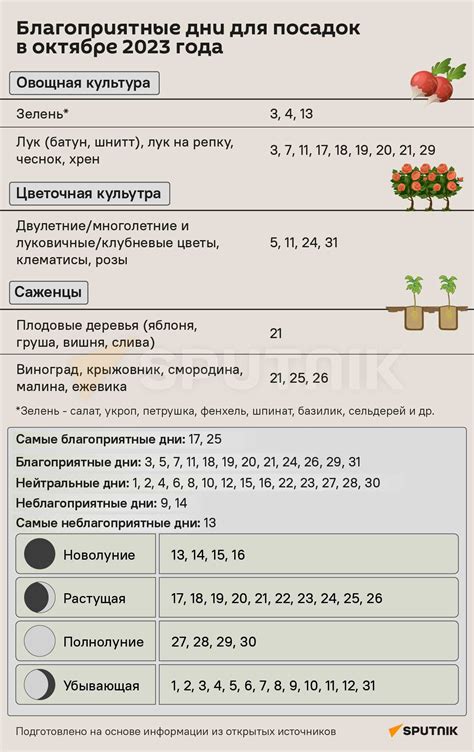 Выбор оптимального времени для посева лука