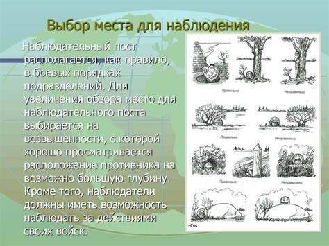Выбор подходящего места для наблюдения