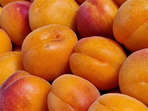 Выбор правильной косточки для посадки