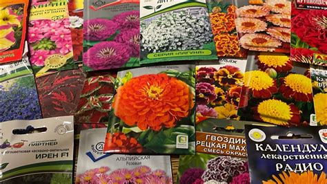 Выбор сезона для посева