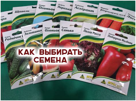 Выбор семян