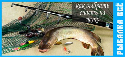 Выбор снасти и приманки