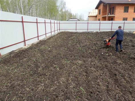 Выбор сортов газона для посева в ноябре