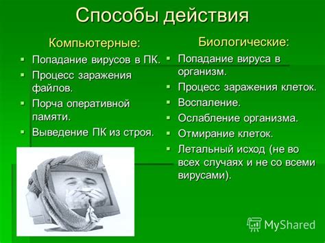 Выведение вирусов