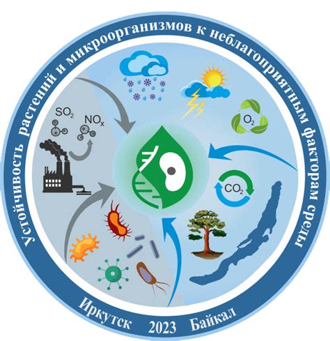 Высокая устойчивость к неблагоприятным условиям
