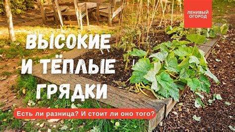 Высокие грядки осенью