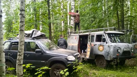 В болотистых местах