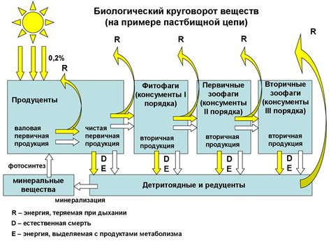 Гармония и равновесие: влияние настроения на потоки энергии