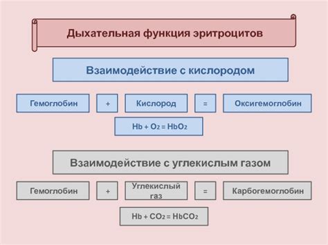 Гемоглобин и его взаимодействие с кислородом
