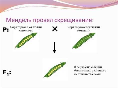 Генетика и селекция