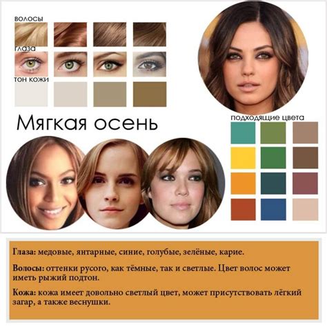 Генетическая предрасположенность к цвету волос
