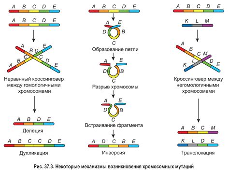 Генетические мутации и синий цвет