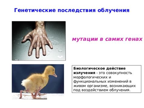 Генетические последствия