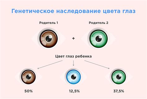 Генетическое наследование цвета глаз