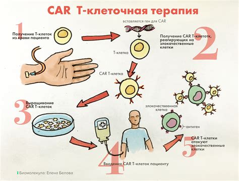 Генная терапия: эпоха индивидуального подхода