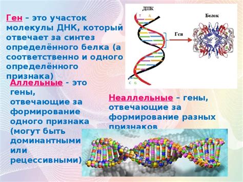 Гены и формирование личности