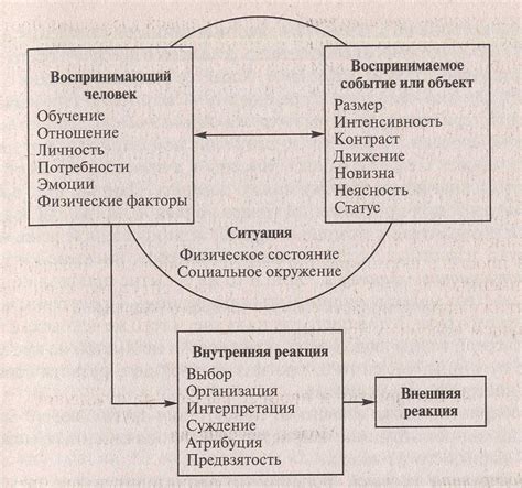 Глава 3: Впечатления и взаимодействие