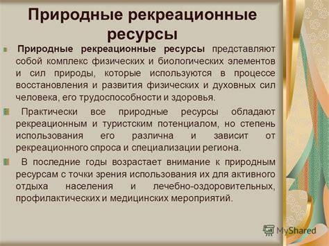 Главные моменты в процессе восстановления природы