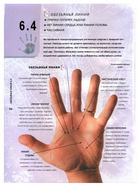 Главные секреты руки: тайны линий на ладони
