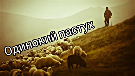 Главный герой произведения "Одинокий пастух"
