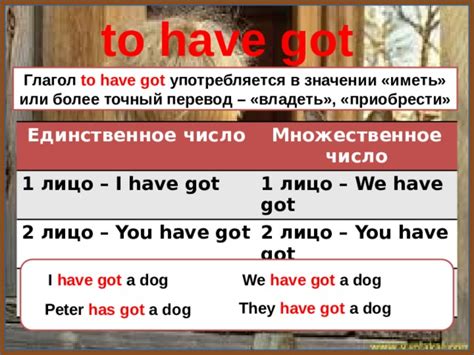 Глагол "have" в значении "иметь"