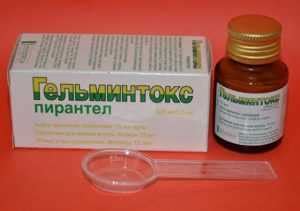 Глистогонные препараты: действие и особенности