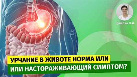 Глисты как причина урчания живота
