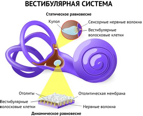Головокружение: причины и их влияние на сознание