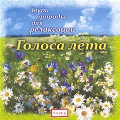 Голоса лета: обретение звуков живой природы