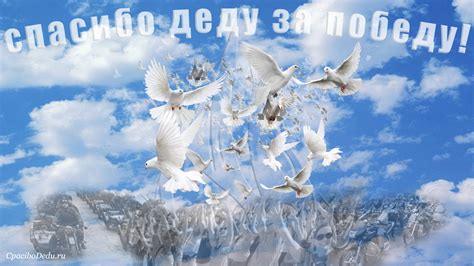 Голубь мира: праздник в сентябре